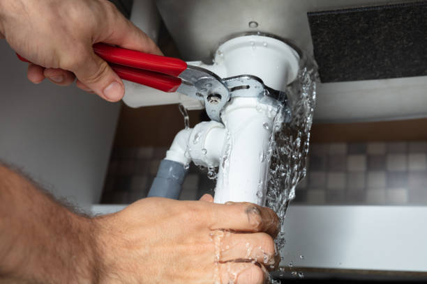 Best Professional water damage repair  in Apple Valley, CA