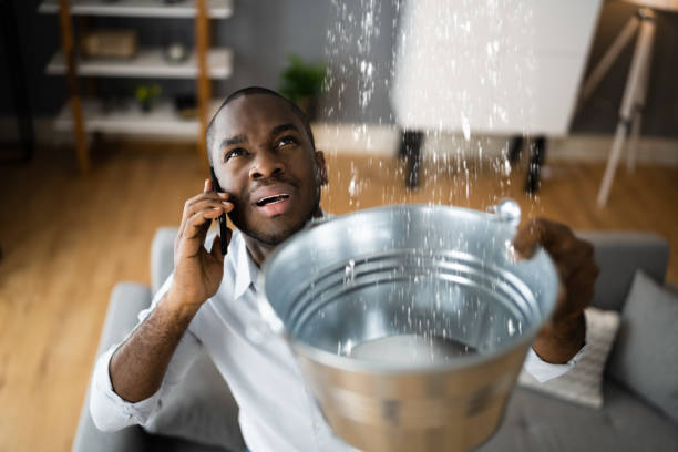 Best Carpet water damage restoration  in Apple Valley, CA