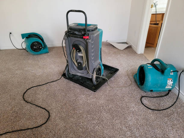 Best Water damage restoration near me  in Apple Valley, CA