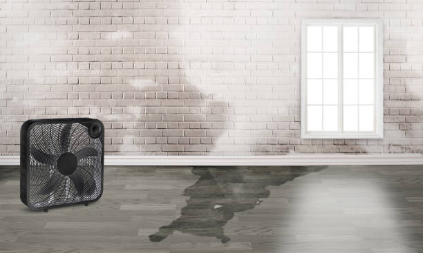 Best Emergency water damage restoration  in Apple Valley, CA