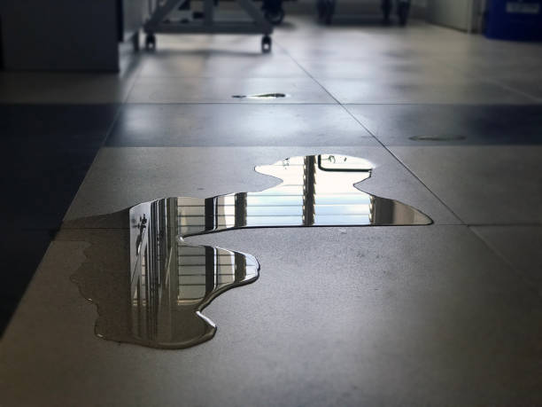 Best Carpet water damage restoration  in Apple Valley, CA