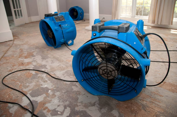 Best 24-hour water damage restoration  in Apple Valley, CA
