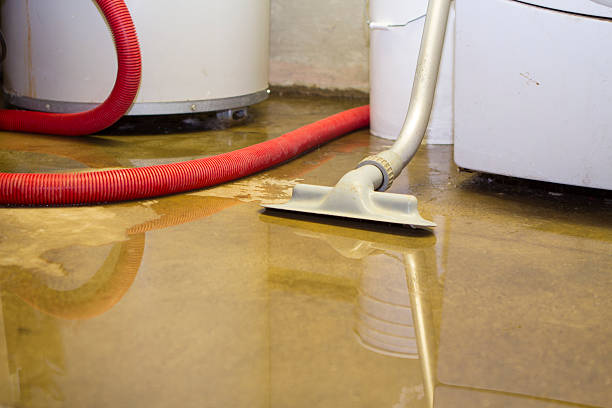 Best 24/7 water damage repair  in Apple Valley, CA