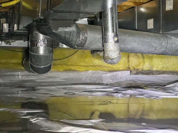Best Water damage contractors near me  in Apple Valley, CA